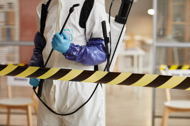 Professional Sewage Cleanup technician working in Rodeo, CA